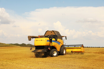 Modern combine harvester in field on sunny day. Agricultural machinery