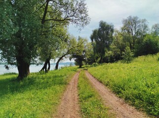 country road among trees along the river bank