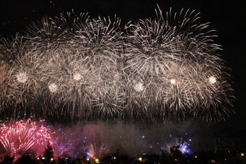 fireworks in the sky