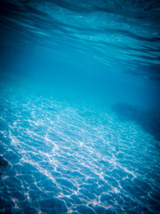 Fototapeta na wymiar amazing blue underwater world banner