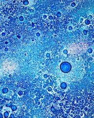 blue glass background