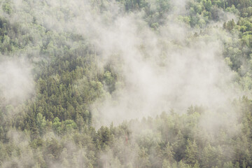 White smoke in the wooded taiga mountains from burning fire.
