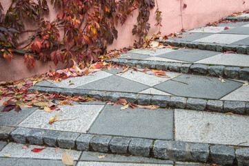 elongated stone staircase with fallen fallen leaves in a park in Madrid. Spain