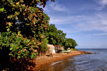 Obraz premium Light morning in the Caribbean.