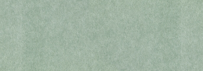 Fototapeta premium Green paper texture background