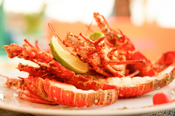Dish with a cut and cooked lobster decorated with lemon slices