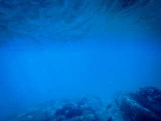 Fototapeta na wymiar amazing blue underwater world banner