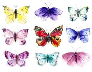 Fototapeta na wymiar Colorful butterflies and moths set