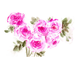 Hand drawn watercolor roses in pink color