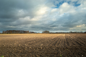 Brown ploughed field, forest on the horizon and cloudy sky