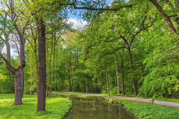 Fototapeta premium A stream in a quiet park on a summer day with a path leading into the distance