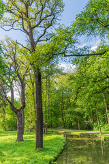 Obraz premium Path next to a stream in a summer park