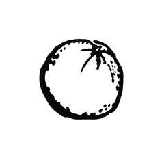 Whole orange fruit. Citrus. Ink brush black drawing on a white background. Hand drawn vector illustration. Design for textile, menu.