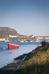 Harbour view in Scotland