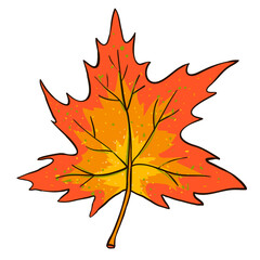 Colored Vector design element with maple leaf