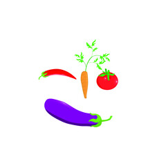 vector illustration of a healthy vegetables