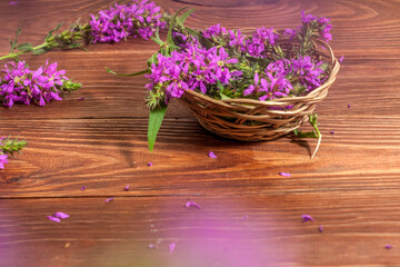 Fresh bunch of blooming Sally flowers on wooden background with copy space.