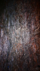 wood grain 