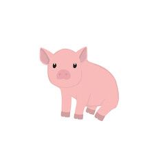 Pig Illustration
