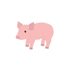 Pig Illustration