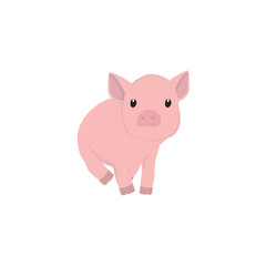 Pig Illustration