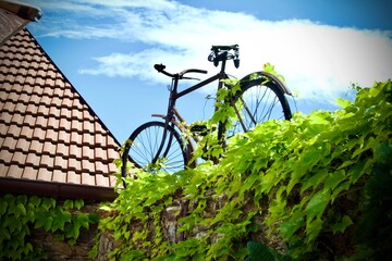 bicycle on the wall, joke