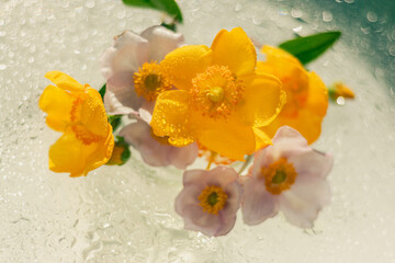 Still life of flowers Anemones and Hypericum