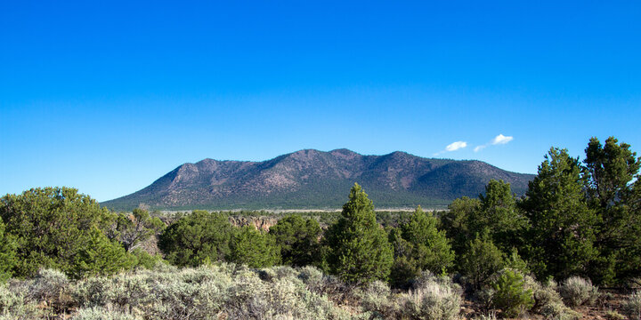 A pinyon-juniper woodland along the Rio Grande in Rio Grande del Norte National Monument in New Mexico