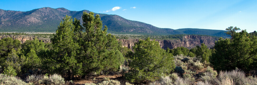 Panorama of pinyon-juniper woodland along the Rio Grande in Rio Grande del Norte National Monument in New Mexico