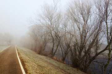 Sunny foggy frosty morning and a path