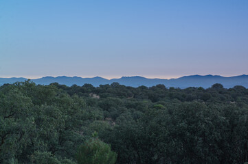las drzewa natura krajobraz widok