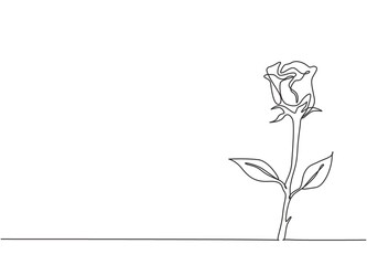 Single continuous line drawing of fresh romantic beautiful rose flower. Greeting card, invitation, logo, banner, poster concept. Trendy one line draw graphic design vector illustration