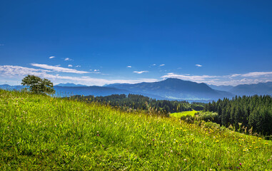 Fototapeta premium Landschaft im Allgäu, Bayern, Deutschland