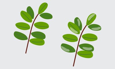 Rowan leaf plain and frozen.
Vector composition in flat style.