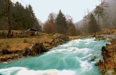 Obraz premium Rivière Hivernale d'Alsace