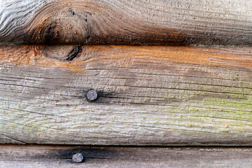 Obraz premium Rusty nails, knot, weathered boards of an abandoned barn with cracks and wood grain close up ~WEATHERED~