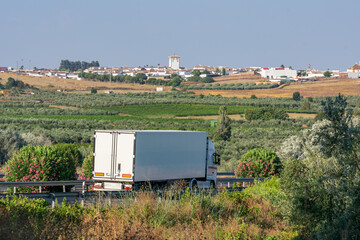 Fototapeta na wymiar Truck with refrigerated semi-trailer driving on the highway