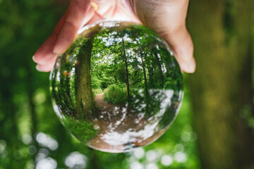 Photo of a hand holding the forest inside a crystal ball