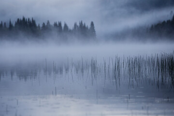 Misty Morning  in Mont Tremblant National Park-Canada