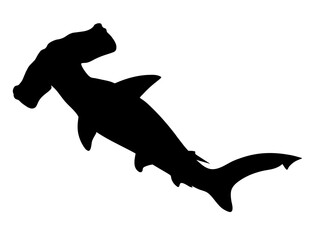 Hammerhead shark. Black hand drawing silhouette vector image. - obrazy, fototapety, plakaty