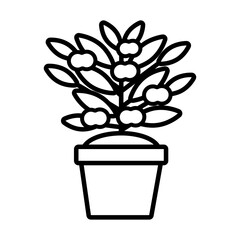 growth plant with apples in ceramic pot line style icon