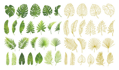 Tropical green leaves and hand drawn line art graphic set isolated om white background. Vector illustration. © artnata