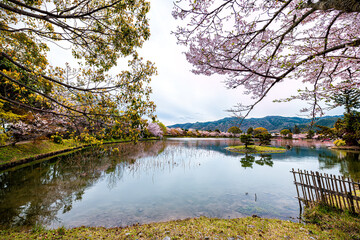 Fototapeta premium Kyoto, Japan Cherry blossom sakura flowers trees along Osawa-no-Ike Pond lake in spring in Arashiyama Daikakuji Temple with red traditional dragon boats wide angle view