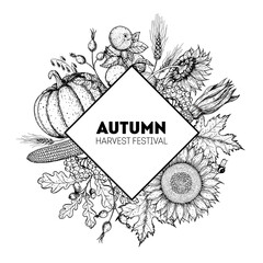Pumpkin, sunflower, corn and fall leaves bouquet. Circle label concept. Thanksgiving design template. Hello autumn. Harvest festival. Hand drawn frame with fall leaves, pumpkin.