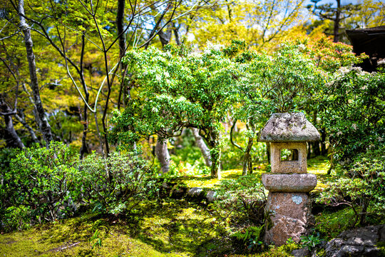 Nara, Japan Yoshikien garden with traditional Japanese green moss landscape and small stone lantern lamp with sunlight in spring