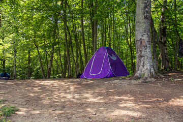 Tourist tent on the background of an forest.