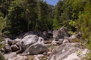 The Restonica Valley, popular tourist destination in the heart of Corsica, France
