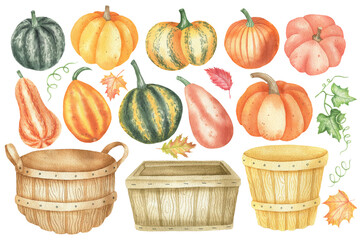 Set of pumpkins and bushels