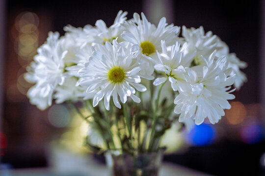 El bucaro y las flores
