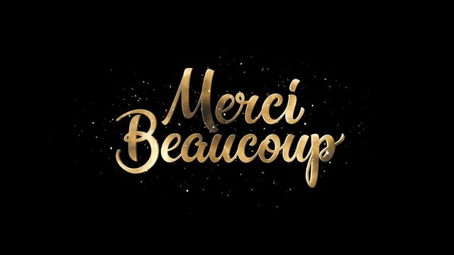 Gold Merci Beaucoup Text Alpha Channel